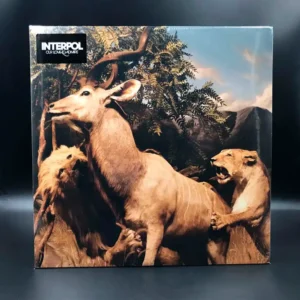 Interpol - Our Love To Admire (2 LPs)