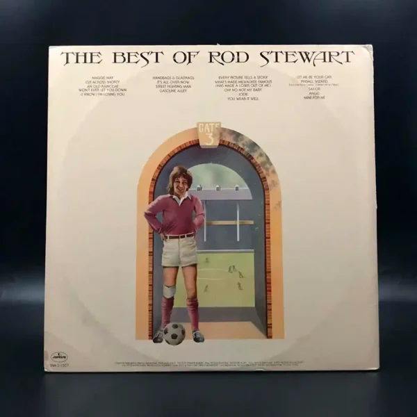 Rod Stewart - The Best Of Rod Stewart (2 LPs)