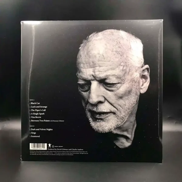 David Gilmour - Luck And Strange