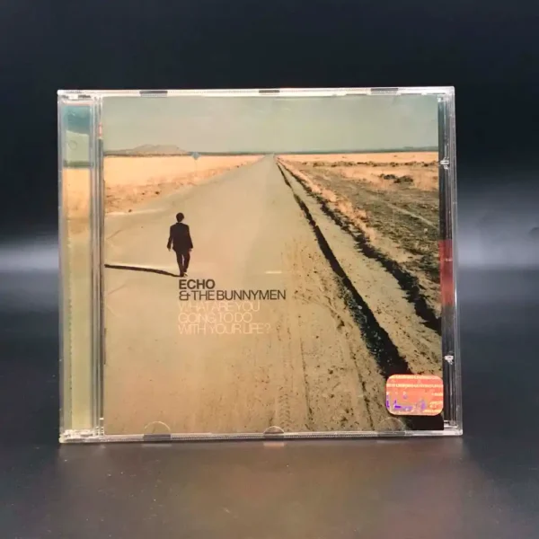 Echo & The Bunnymen - What Are You Going To Do With Your Life?