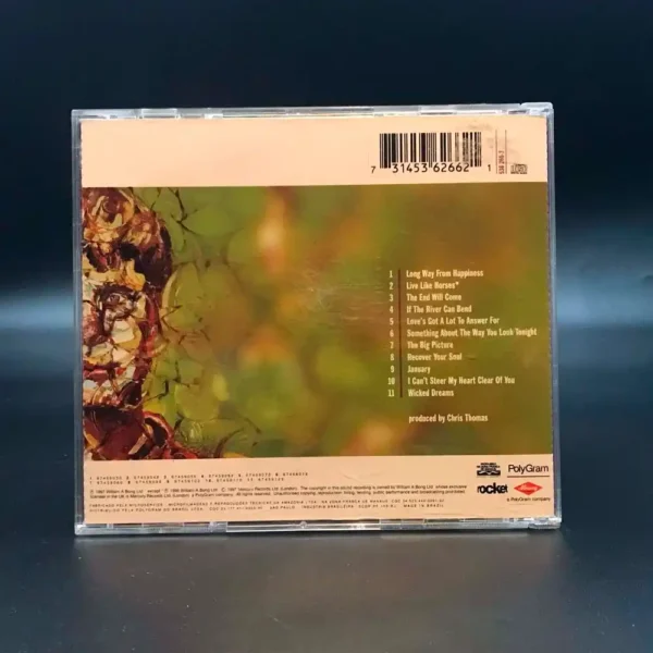 Elton John - The Big Picture