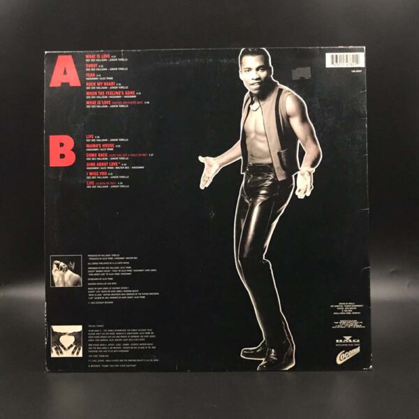 Haddaway - The Album