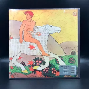 Fleetwood Mac - Then Play On