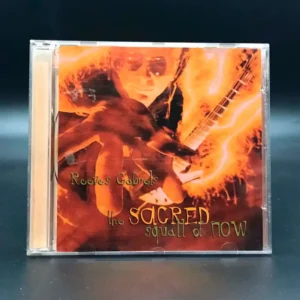 Reeves Gabrels - The Sacred Squall Of Now