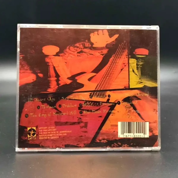 Reeves Gabrels - The Sacred Squall Of Now