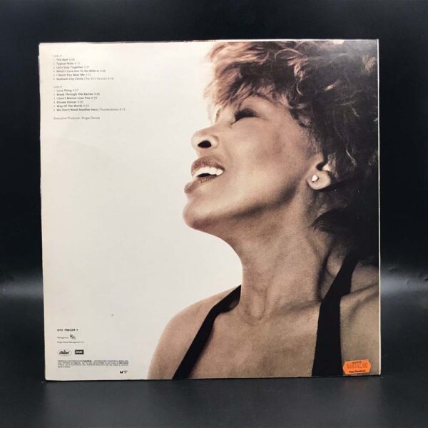 Tina Turner - Simply The Best