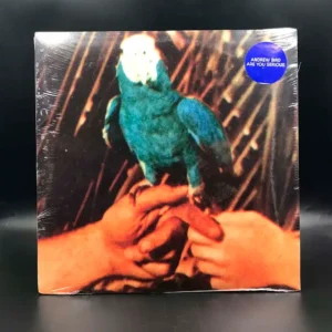 Andrew Bird - Are You Serious