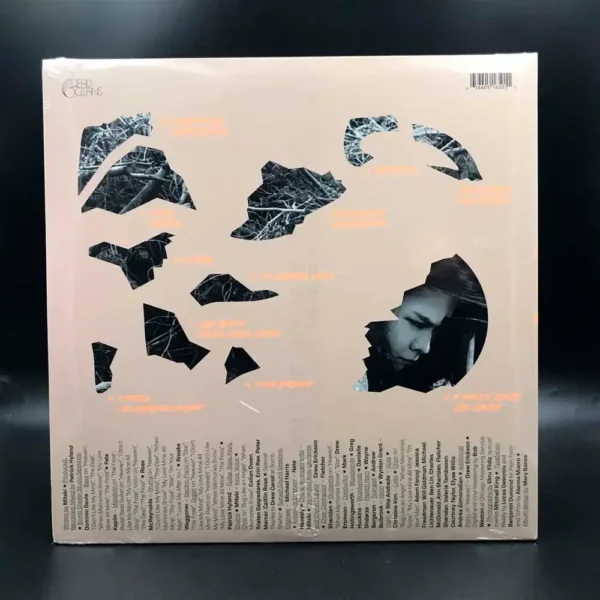 Mitski - The Land Is Inhospitable And So Are We