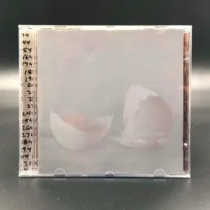 Wilco - A Ghost Is Born