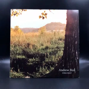 Andrew Bird - Noble Beast (2 LPs)