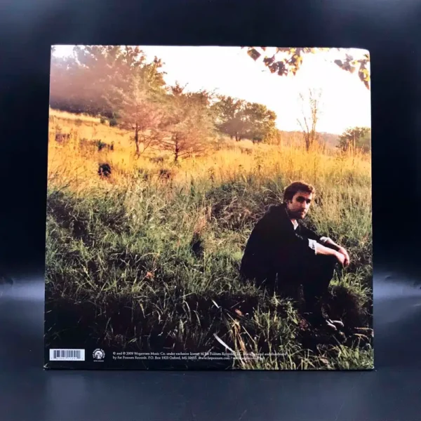 Andrew Bird - Noble Beast (2 LPs)