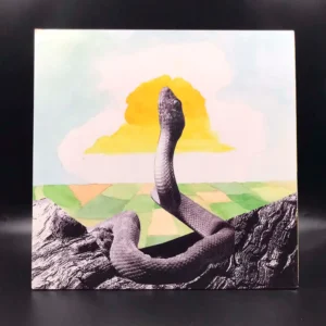 Woods - Bend Beyond