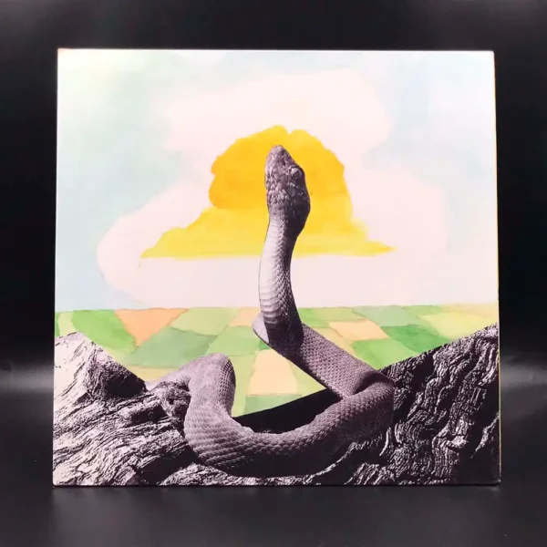 Woods - Bend Beyond