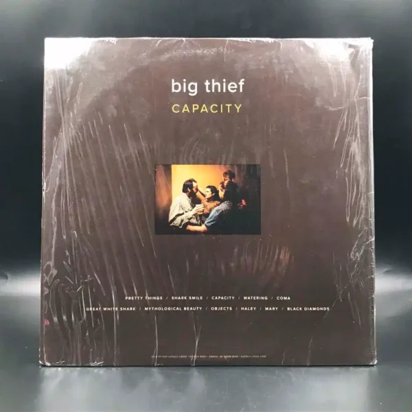 Big Thief - Capacity