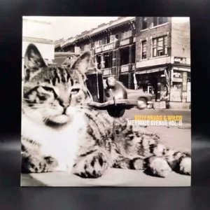 Billy Bragg & Wilco - Mermaid Avenue Vol. II