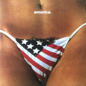 Black Crowes - Amorica (2 LPs)