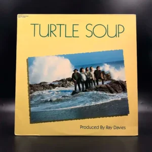 Turtles - Turtle Soup