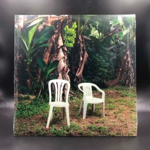 Bad Bunny - Debí Tirar Más Fotos (2 LPs)