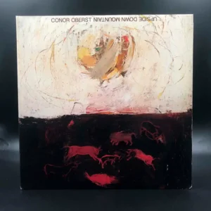 Conor Oberst - Upside Down Mountain (2 LPs + CD)