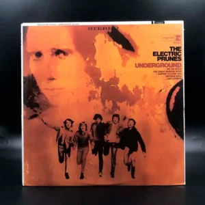 Electric Prunes - Underground