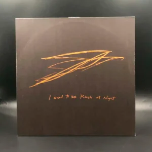 Andrew Bird - I Want To See Pulaski At Night