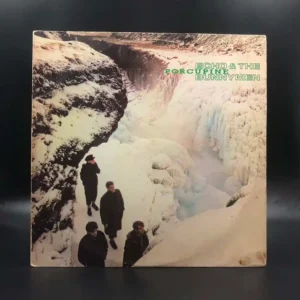 Echo & The Bunnymen - Porcupine